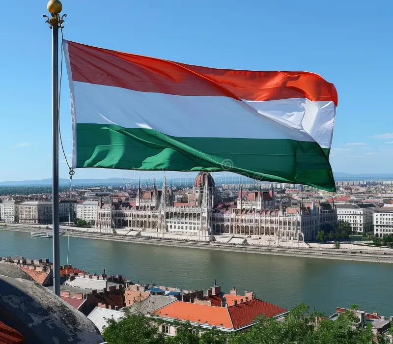How to Remove Google Reviews in Hungary (2026 Guide)